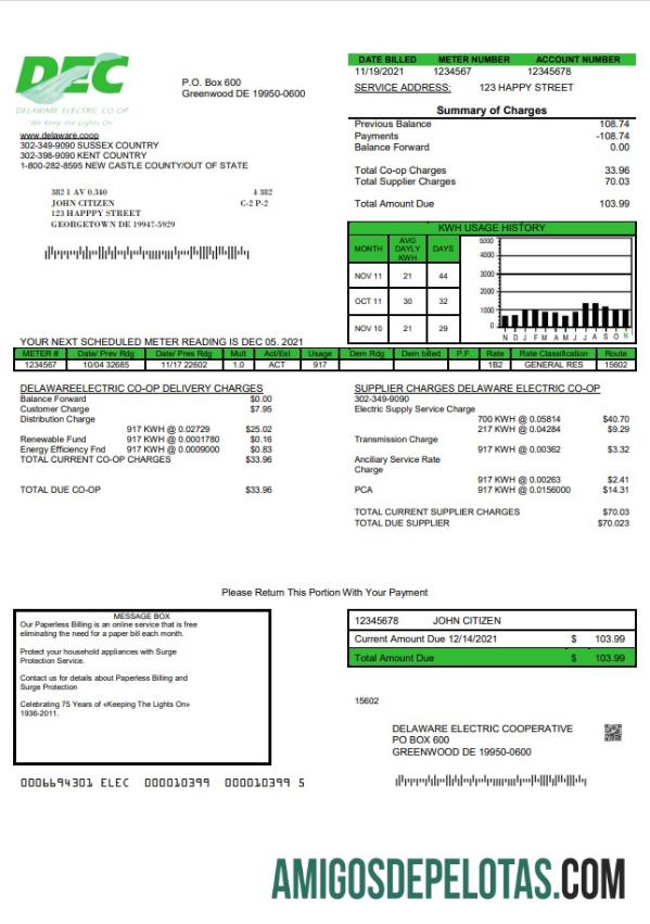 imprimível Modelo de conta de serviços públicos da USA Delaware Electric Co Op em formato Word e PDF